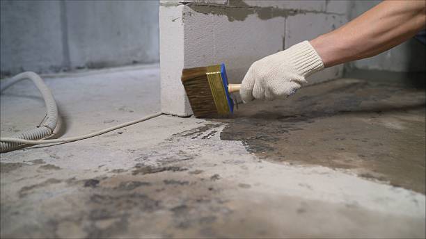 24/7 Emergency Wet Basement Repair experts in Moss, TN